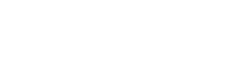 Blays Carpentry & Construction Logo